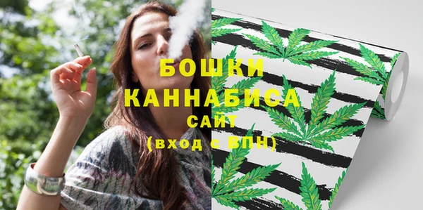 хмурый Медногорск