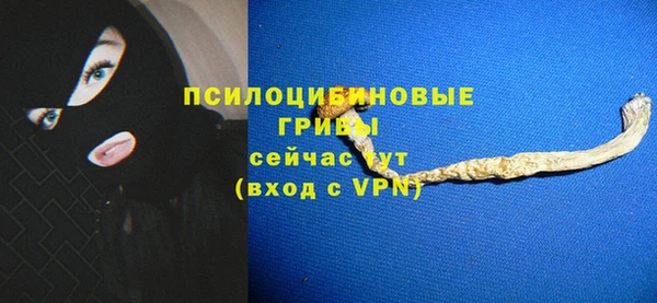 спиды Михайловск